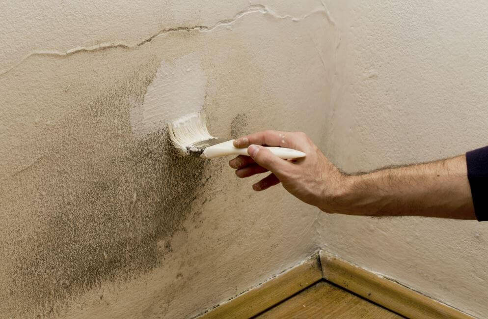 5 Ways To Get Rid of Moisture In Your Home