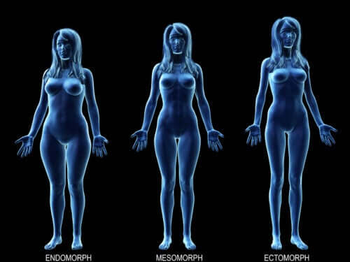 Find Out What's the Ideal Diet for Your Body Type