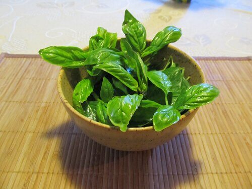 A bowl of basil.