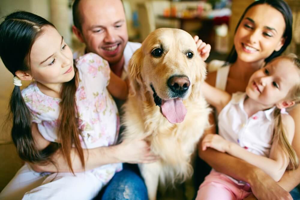 Family Hugging and Petting a Golden Retreiver