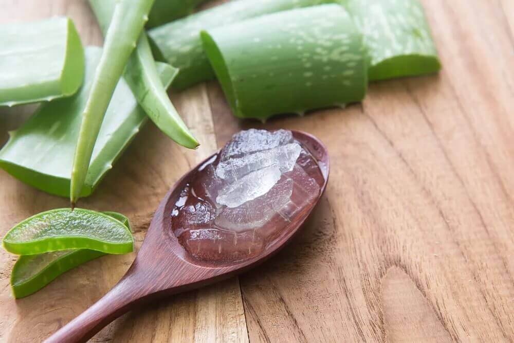 aloe vera on a wooden spoon