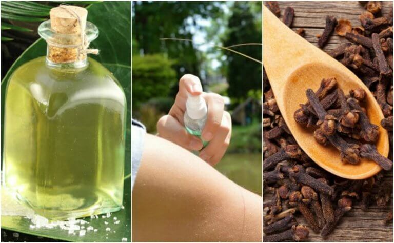 The 5 Best Homemade Repellents You Can Make