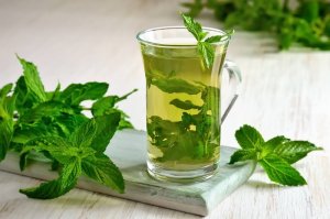 The Health Properties of Pennyroyal and Much More