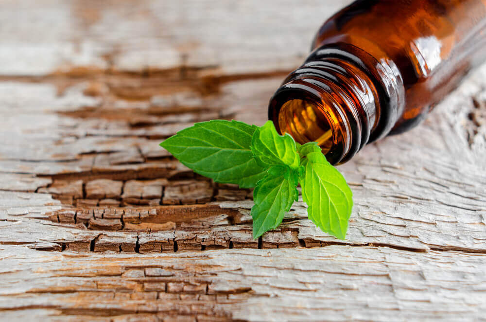 Calming, antimicrobial, and slimming effects of pennyroyal.