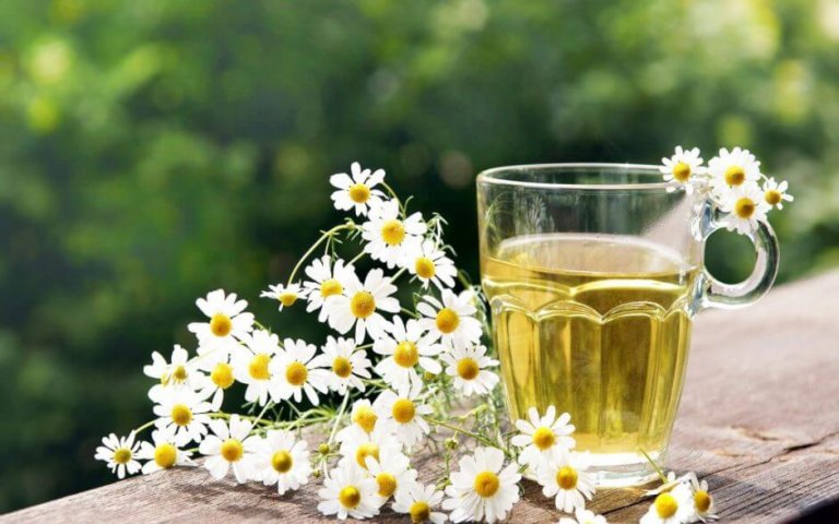 Easy, Useful, and Natural Chamomile Remedies