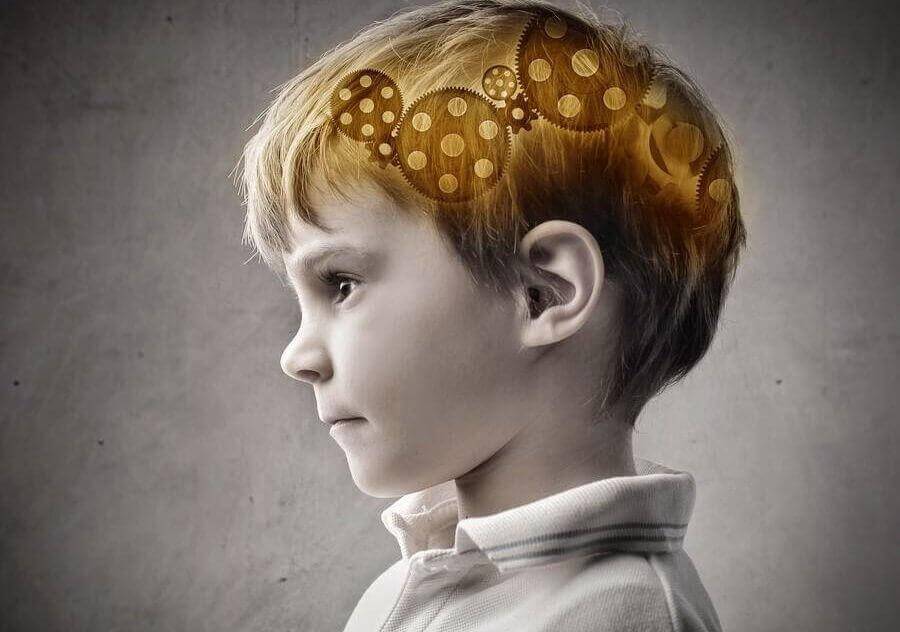A child's brain suggesting intelligence is inherited from his mother.