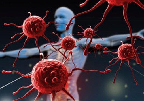 immune system