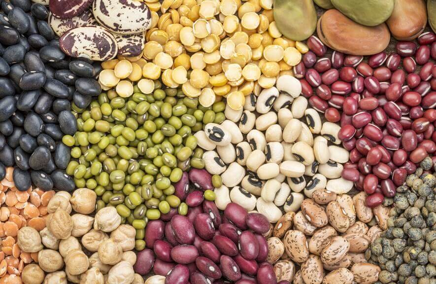 What other nutrients can legumes provide?