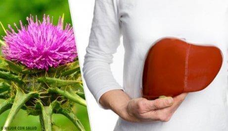 milk thistle for fatty liver