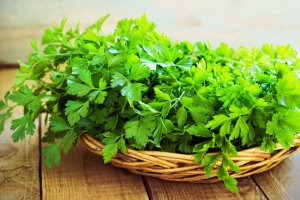 Parsley's Properties for Healthy Kidneys