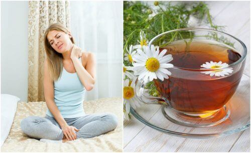 Chamomile Remedies