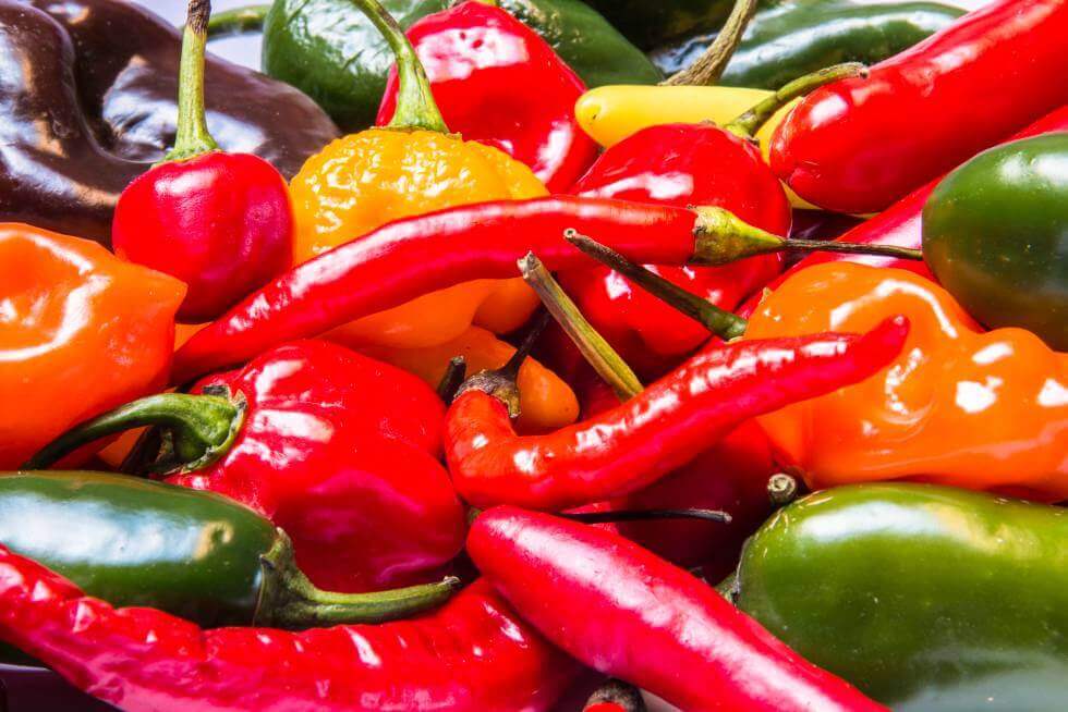 Spicy Foods