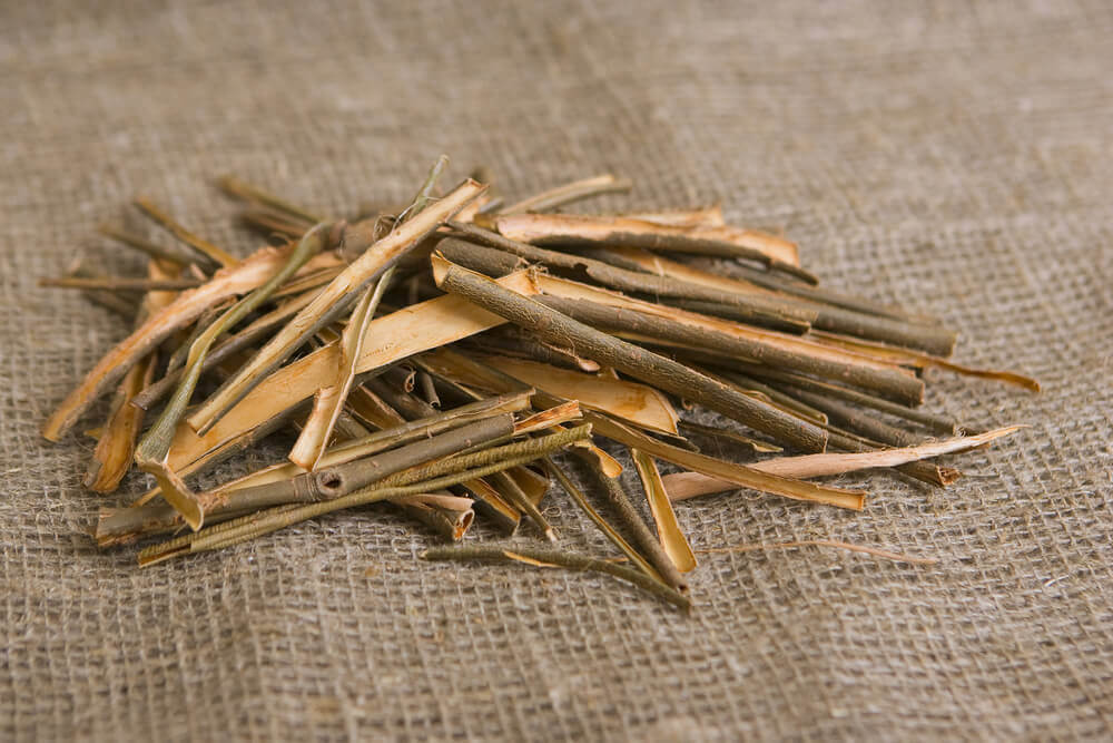 Willow Bark