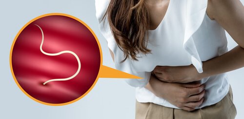 intestinal parasites