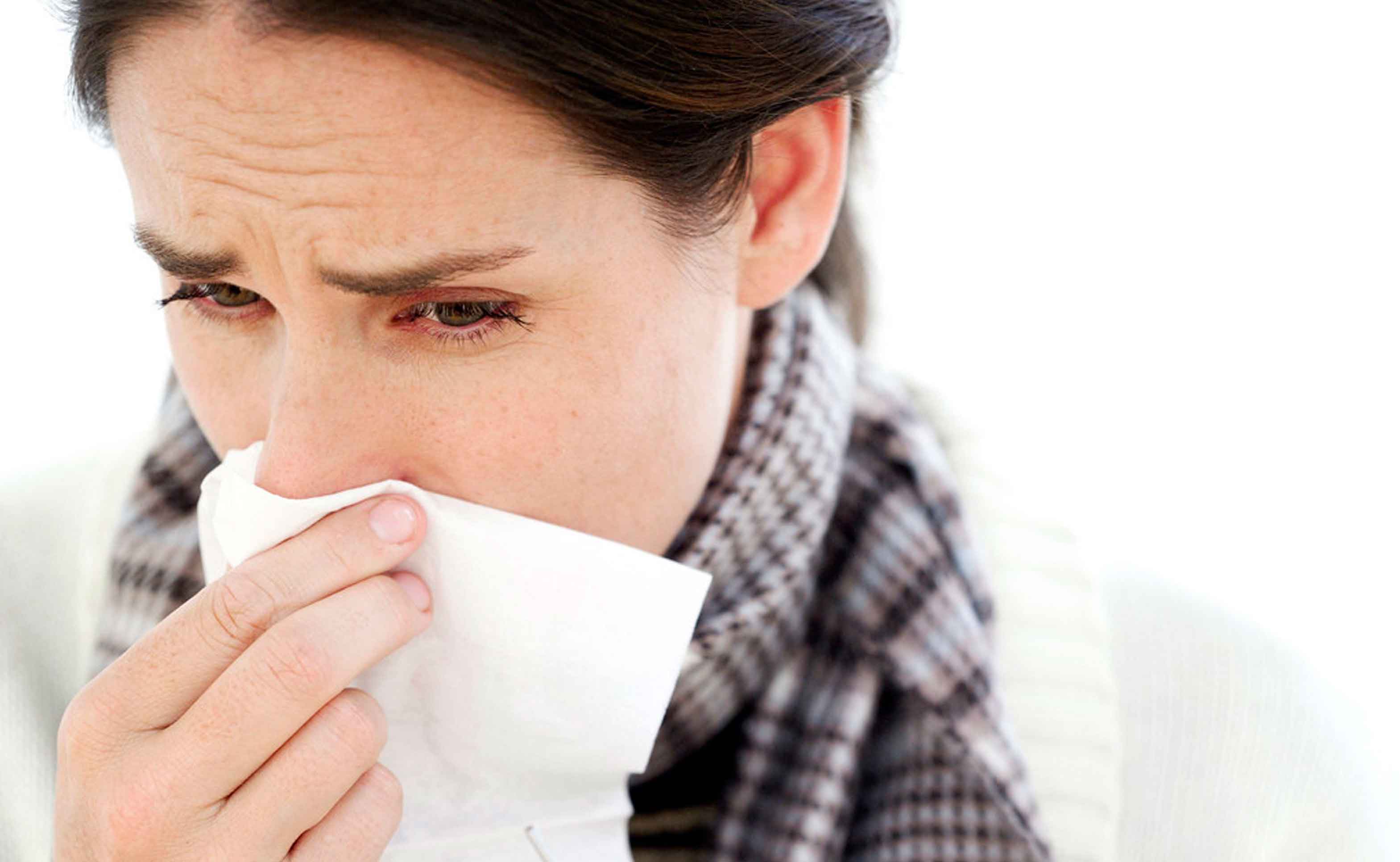 Medicinal plants to fight colds and other respiratory diseases