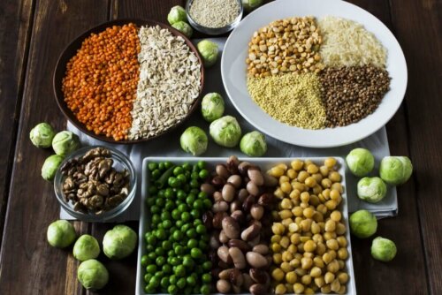 صينية بدائل البروتين الحيواني.
