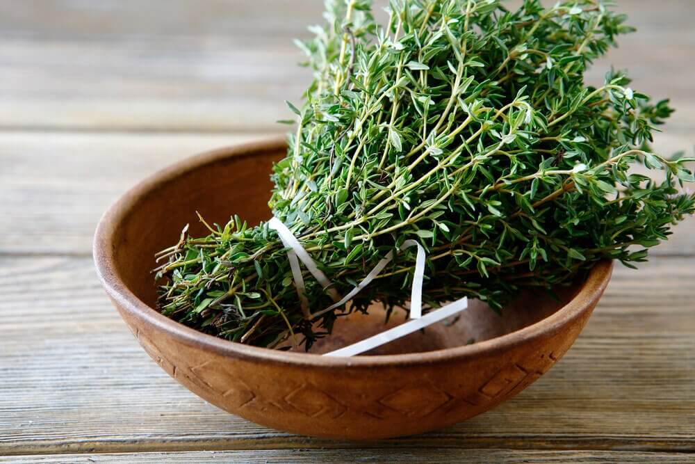 Healthy Benefits and Properties of Thyme