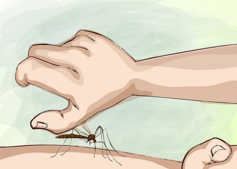 How Can You Avoid Mosquito Bites During the Night?