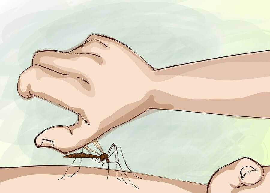 How Can You Avoid Mosquito Bites During the Night?