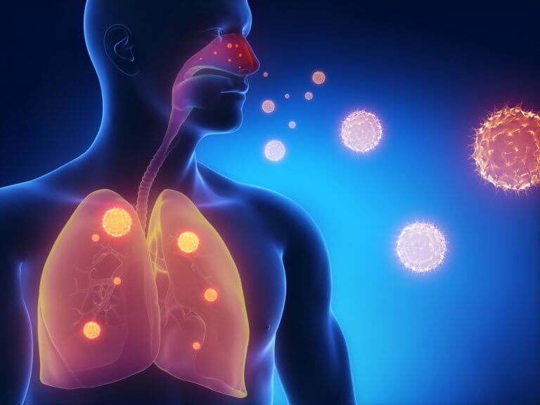 respiratory tract