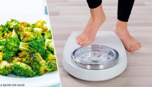 Seven Balanced Meals For Losing Weight and Fat