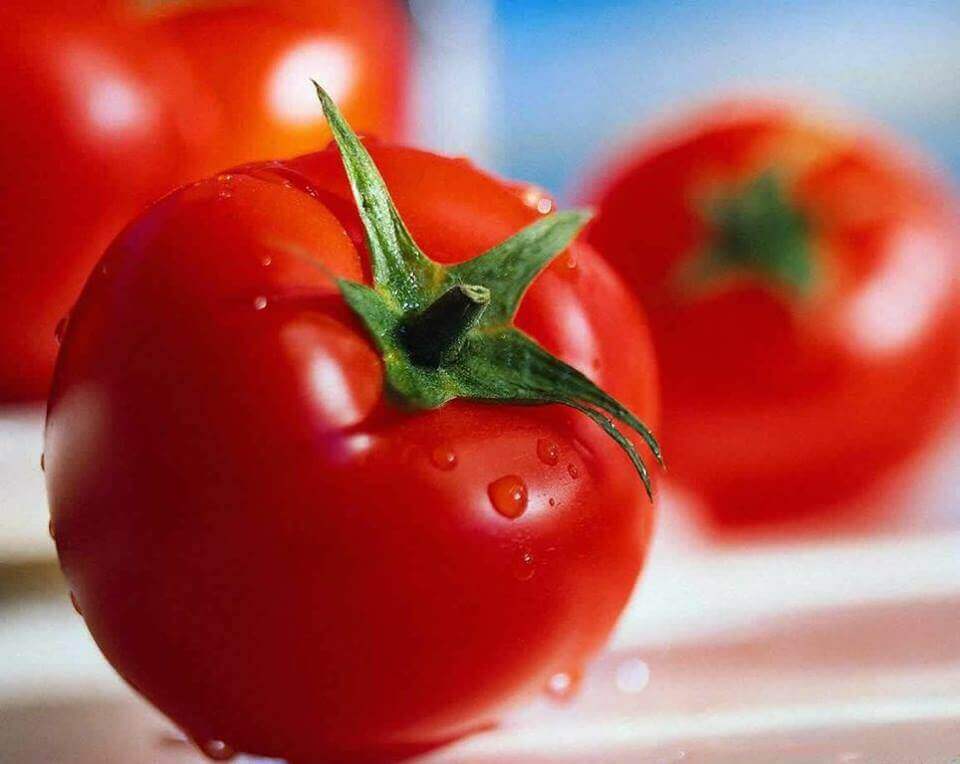 Photo of a freshly washed tomato