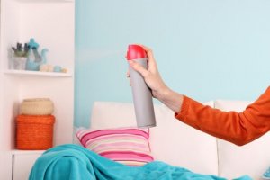 5 Ways to Get Rid of Damp Smells at Home