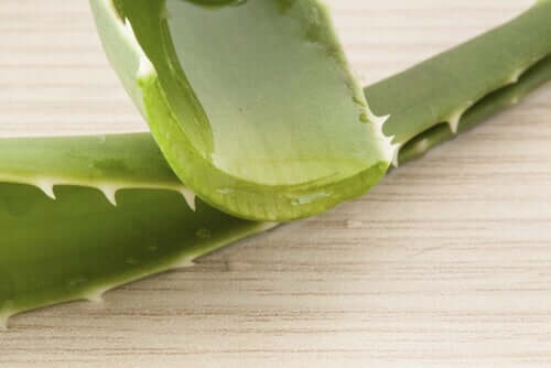 Aloe vera.