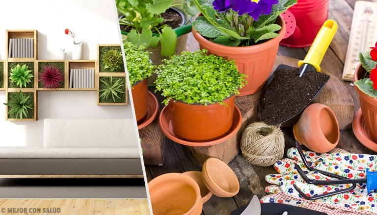 Revitalize Your Home with These 10 Ideas for Decorating with Plants