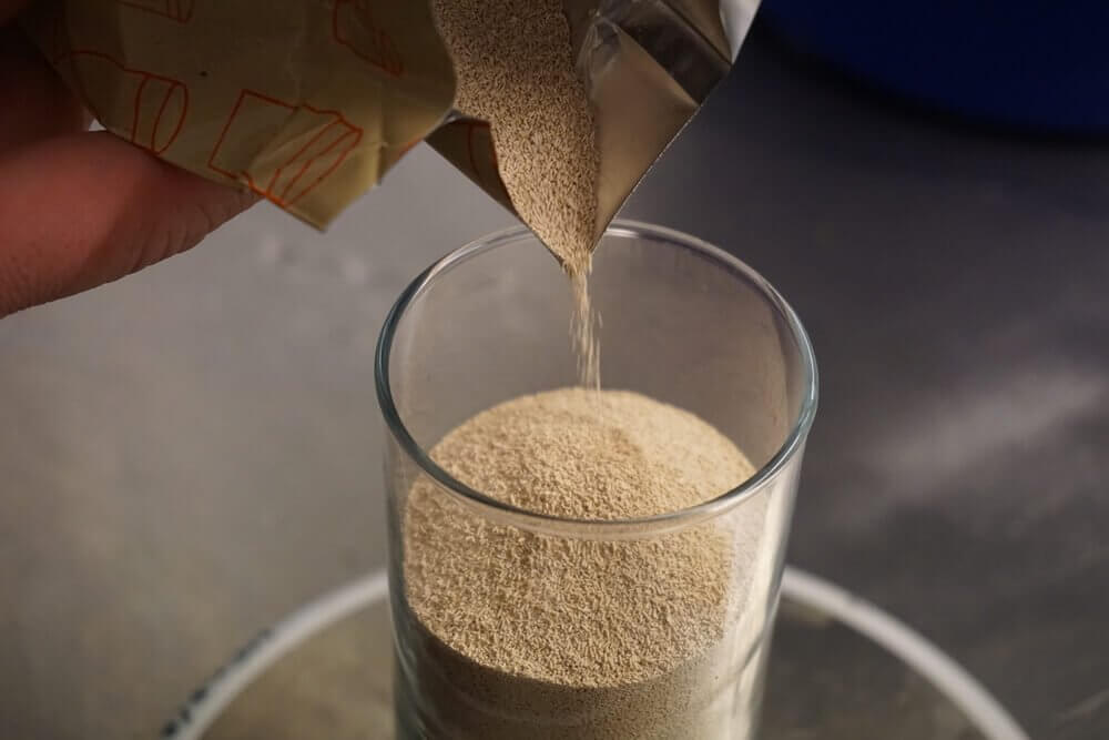 Brewer's yeast in powder.