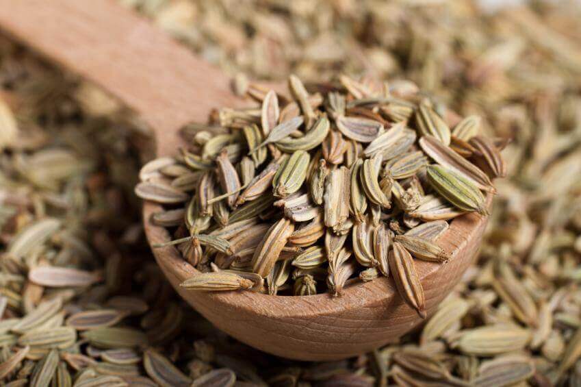 Fennel seeds.