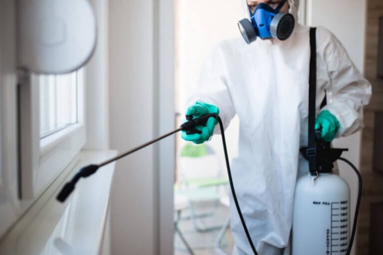 Van termieten afkomen met professionele hulp