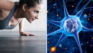 How to Regulate Hormones through Exercise