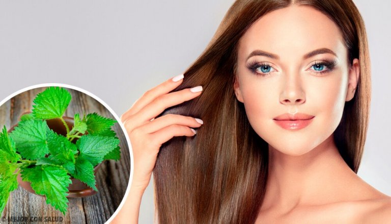 The Benefits of Nettle for Your Hair