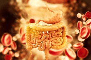 How to Make 5 Teas to Detox Your Colon