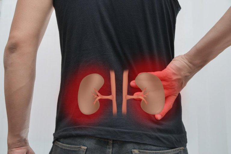 Incredible Natural Remedies to Cleanse Your Kidneys