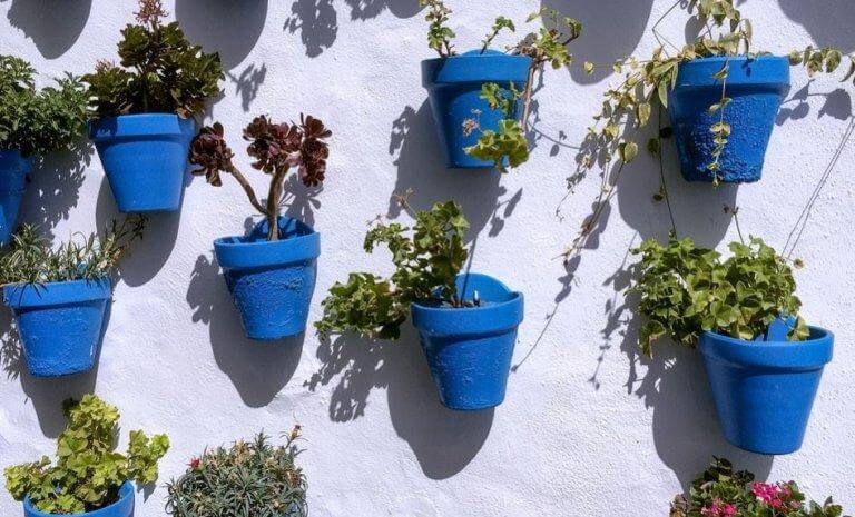 Learn How to Decorate Your Flowerpots