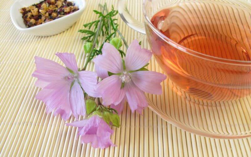 Mallow next to a bowl of mallow infusion