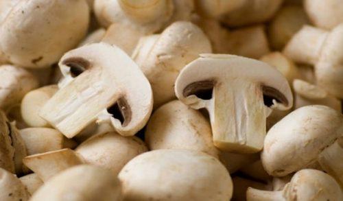 Mushrooms