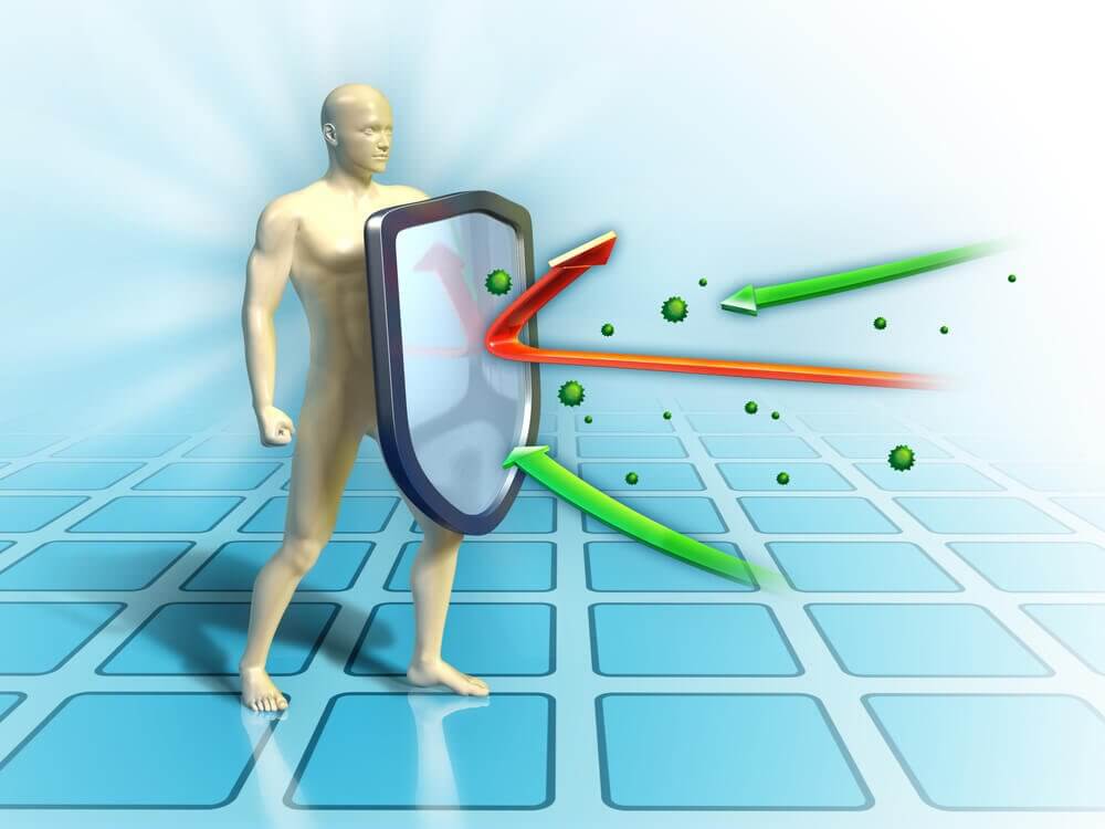 10 Recommendations to Strengthen Your Defenses Through Your Diet