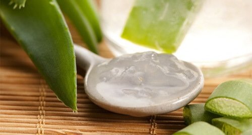Aloe vera