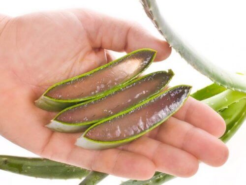 Aloëvera
