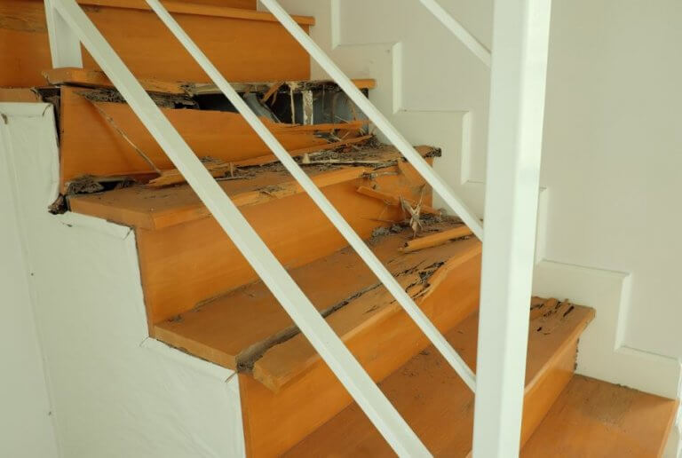 How to Get Termites Out of Your Home