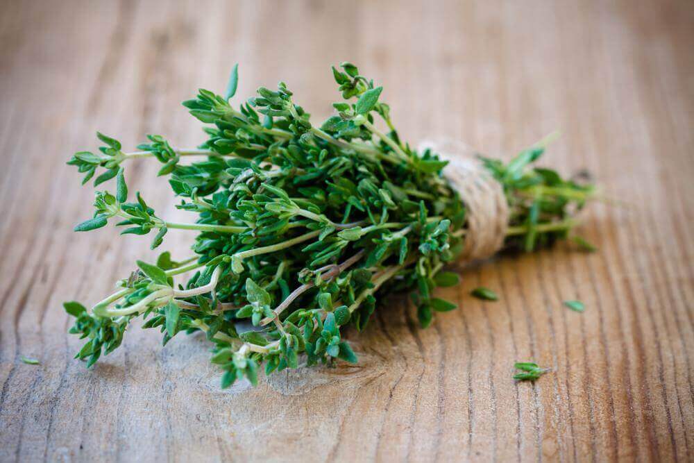 Thyme can be used for treating vaginal yeast infections