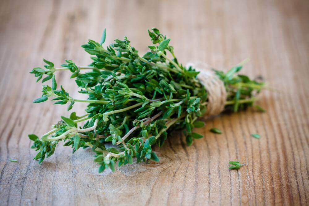 Thyme can be used for treating vaginal yeast infections