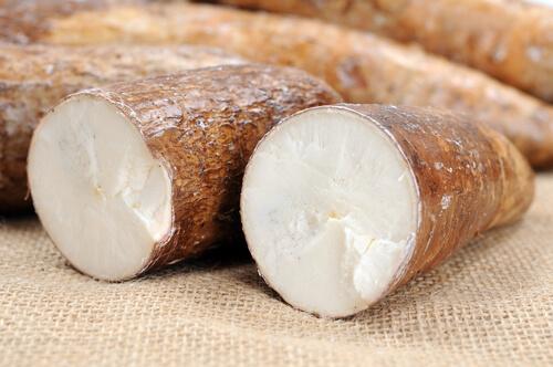 Cassava