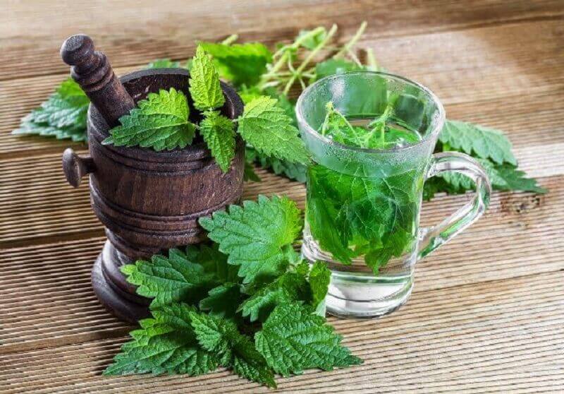 Nettle tea