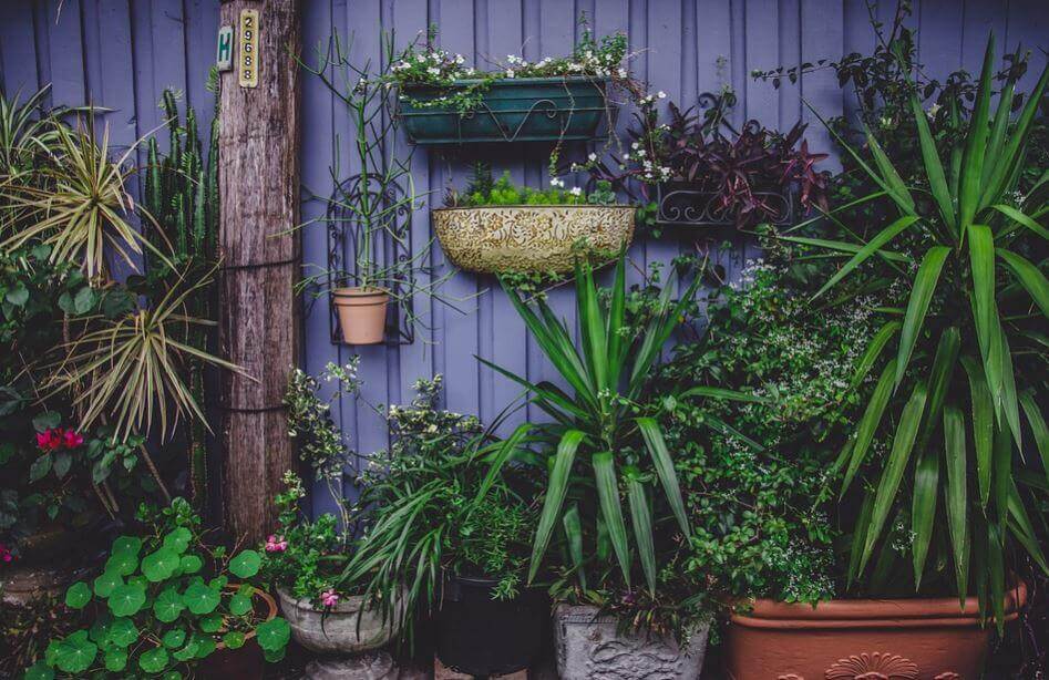 Four Designs for Home Vegetable Gardens