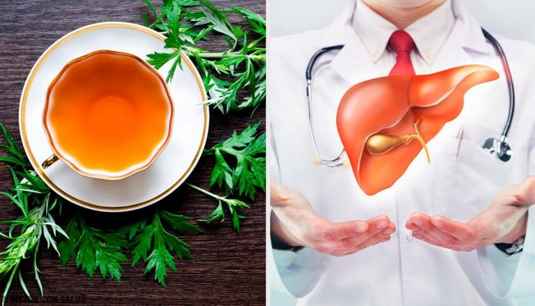 Nine Properties of Wormwood to Help Keep Your Liver Healthy