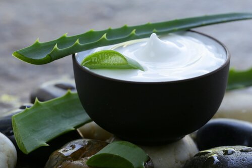 Aloe vera in homemade hand creams